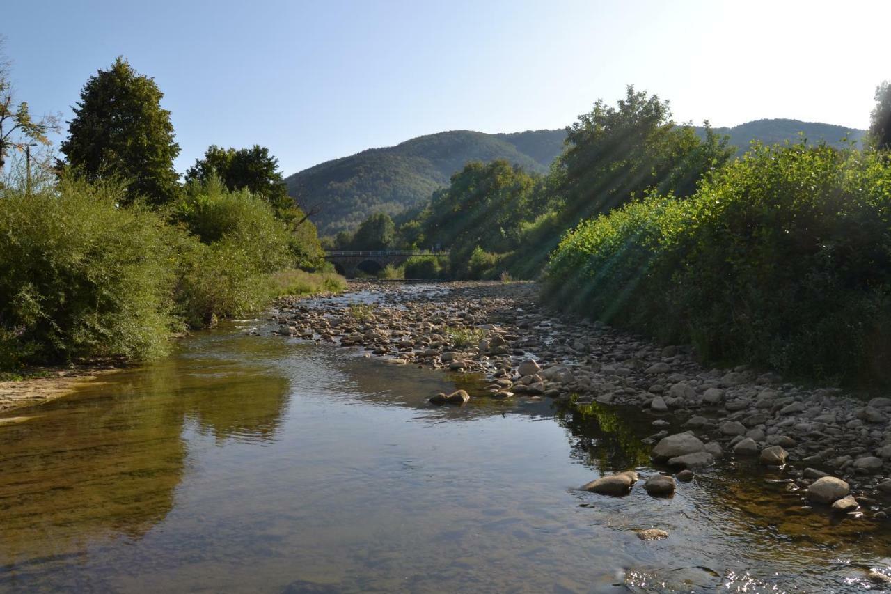 Dunavtsi  Casa Bella 빌라 외부 사진